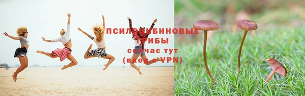 ГАЛЛЮЦИНОГЕННЫЕ ГРИБЫ Остров