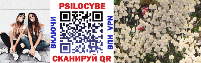 Псилоцибиновые грибы Magic Shrooms  закладки  Грязи 