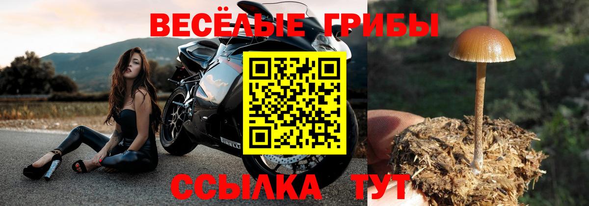 цена   Галлюциногенные грибы ЛСД  Вход с VPN  Грязи 