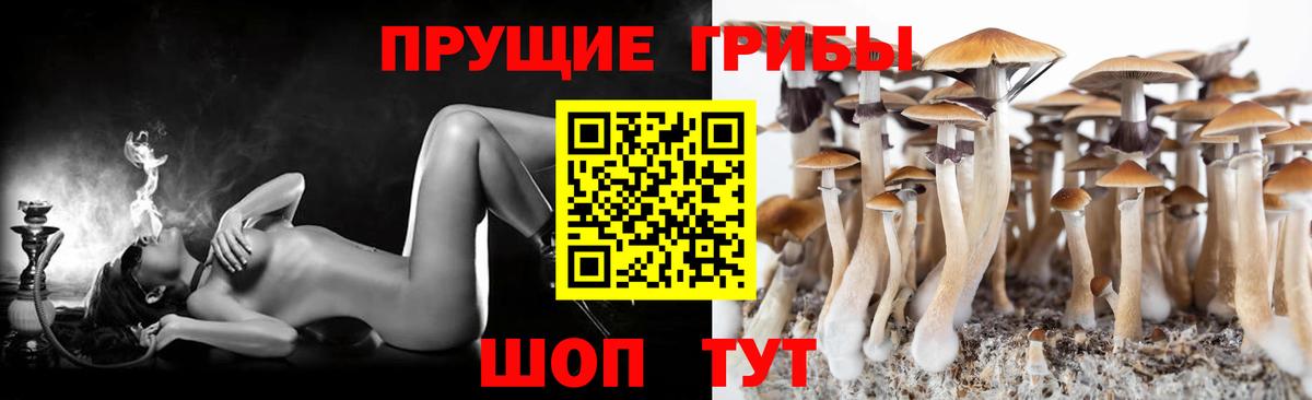 Галлюциногенные грибы мицелий Грязи